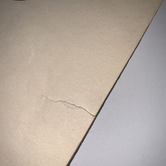 Antique First Edition 1905 THE MATRIMONIAL PRIMER by VB Ames and Gordon Ross - Picture 10 of 16